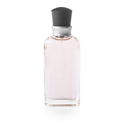 Lucky You Perfume