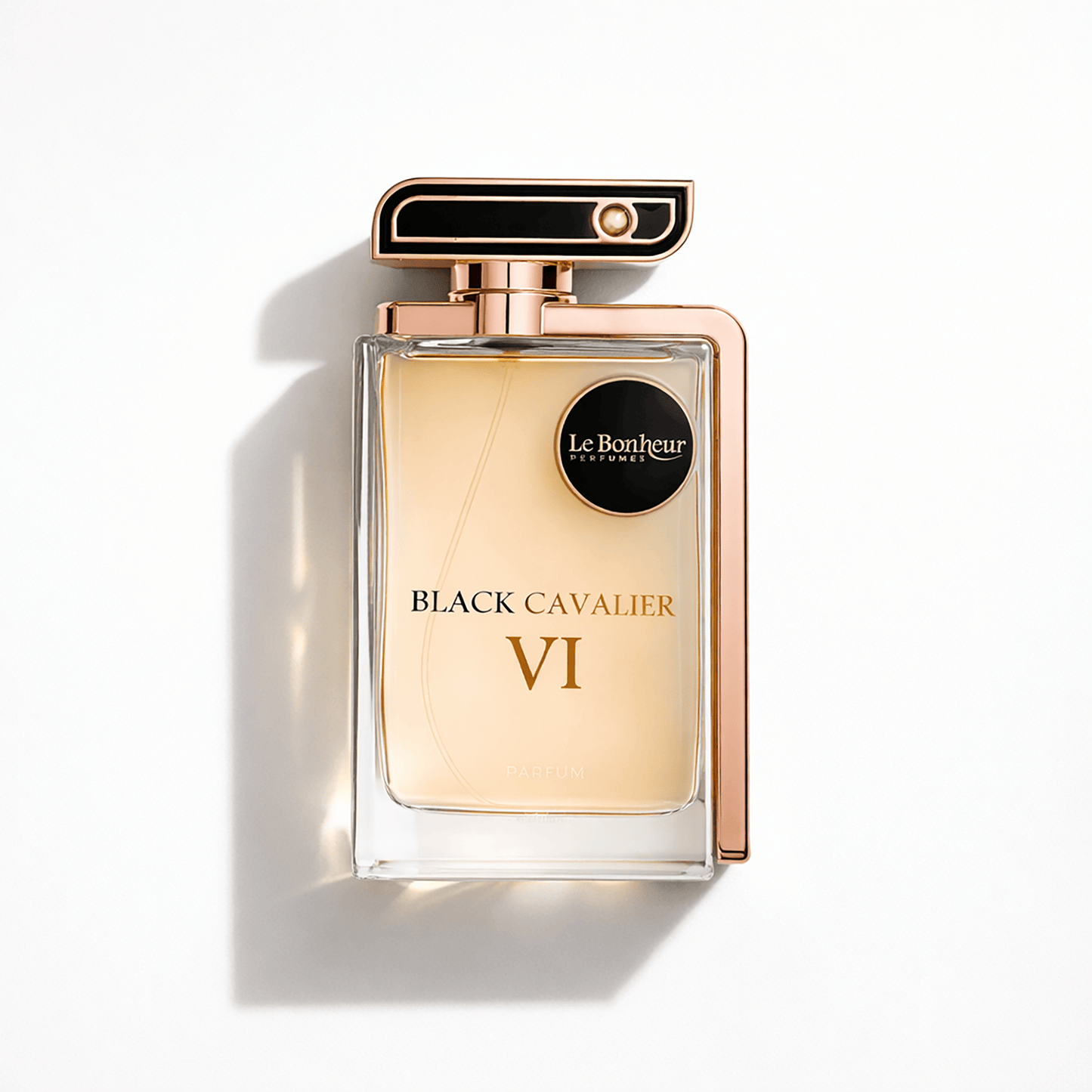 Black Cavalier VI Cologne