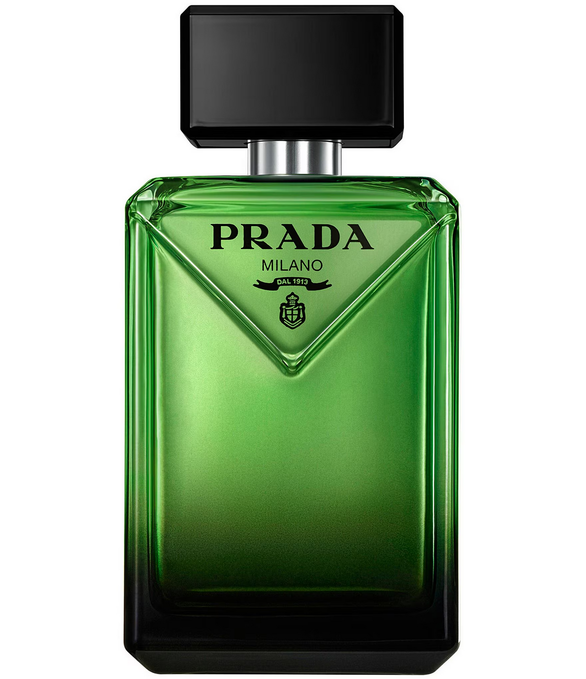 Paradigme Cologne