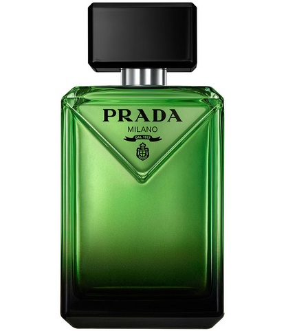 Paradigme Cologne
