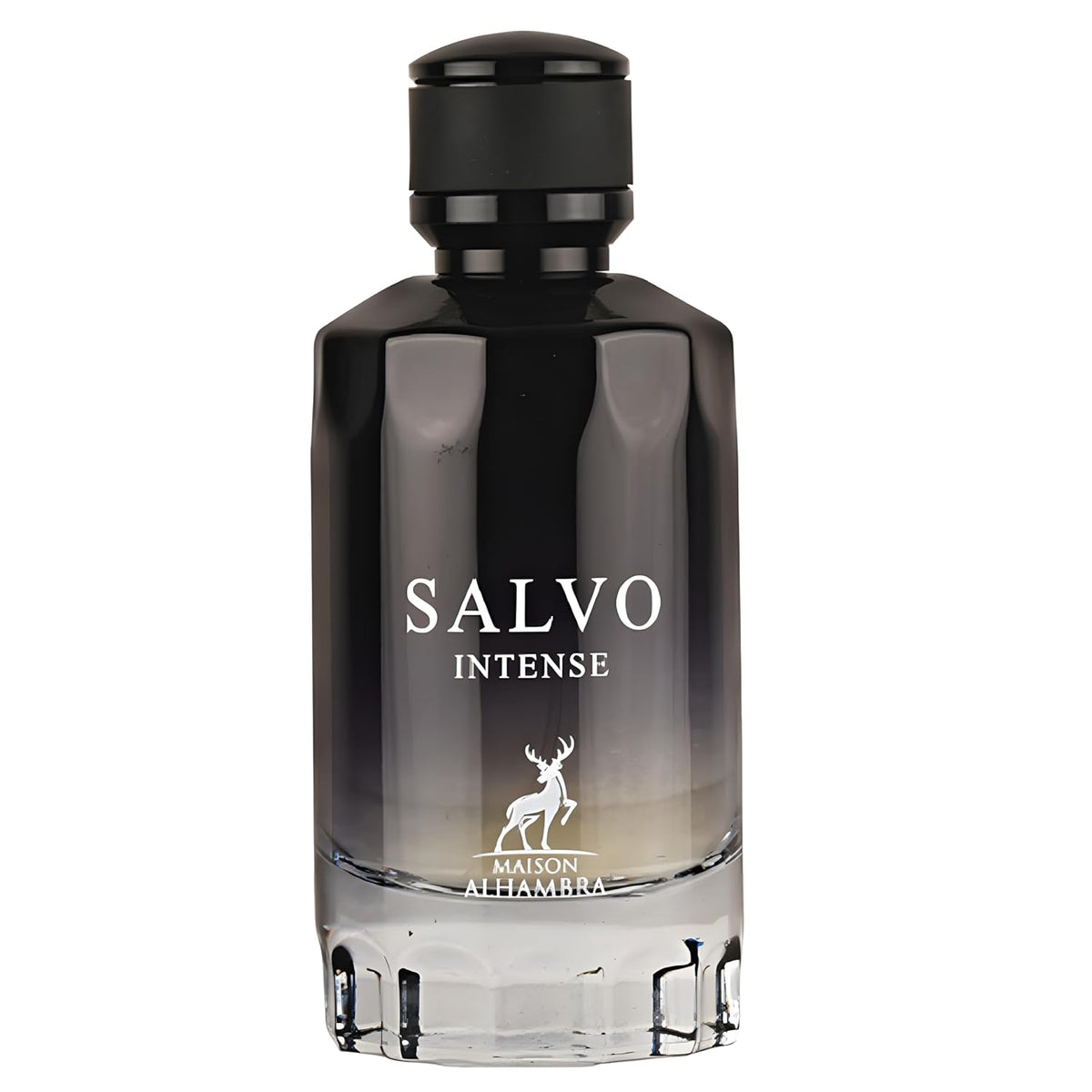 Salvo Intense Cologne